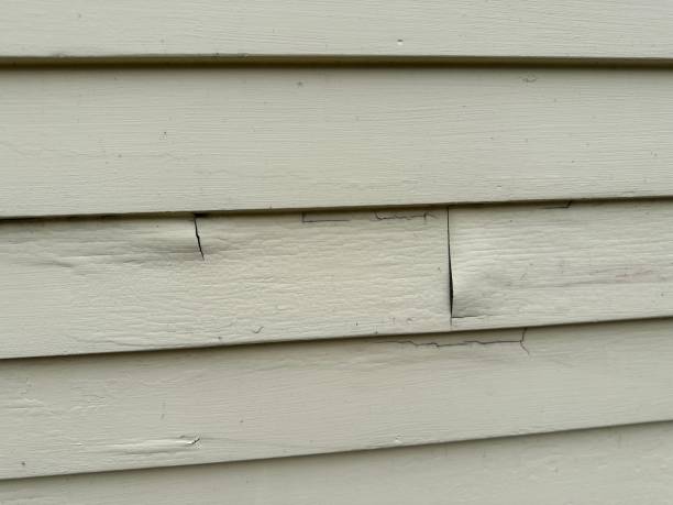 Best Storm Damage Siding Repair  in , ID